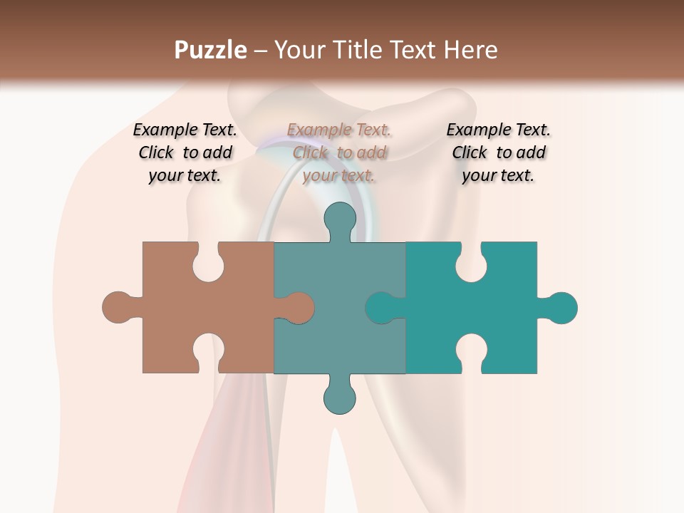 Fitness Tendon Illustration PowerPoint Template