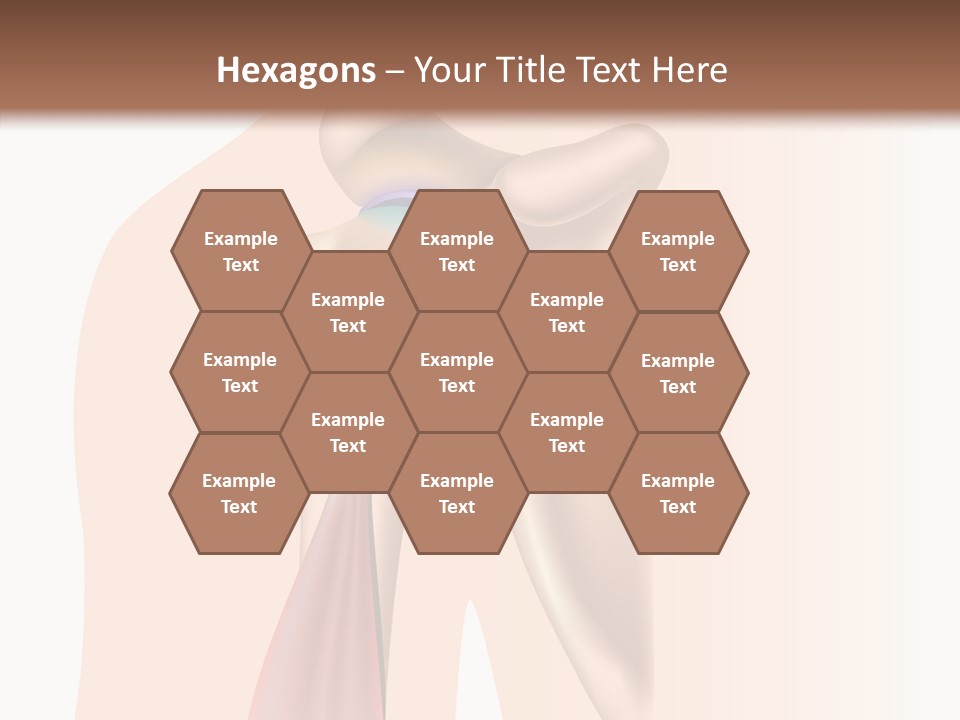 Fitness Tendon Illustration PowerPoint Template