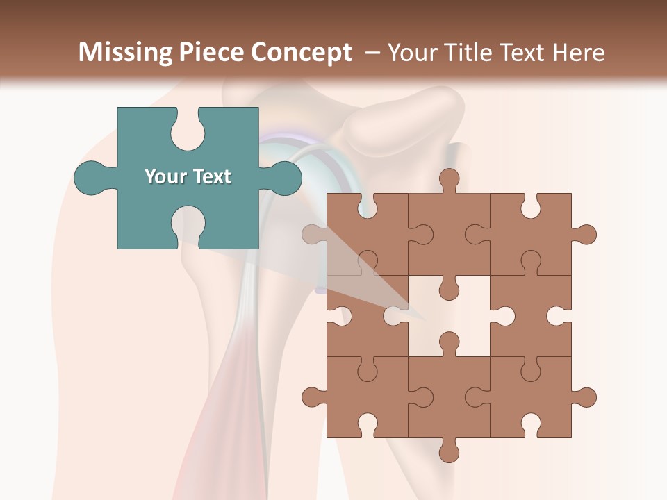 Fitness Tendon Illustration PowerPoint Template