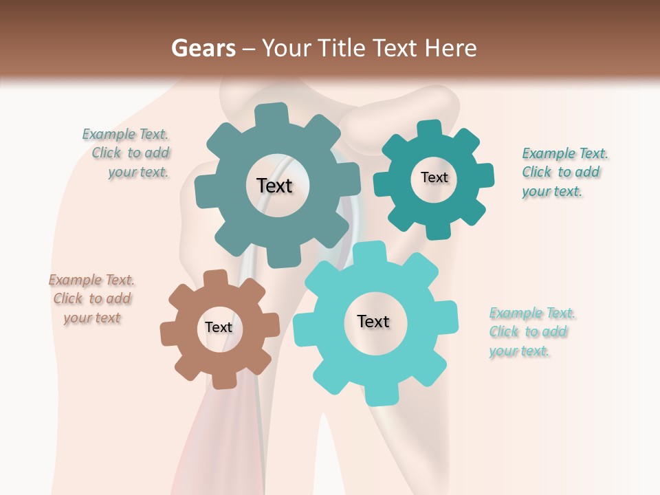 Fitness Tendon Illustration PowerPoint Template