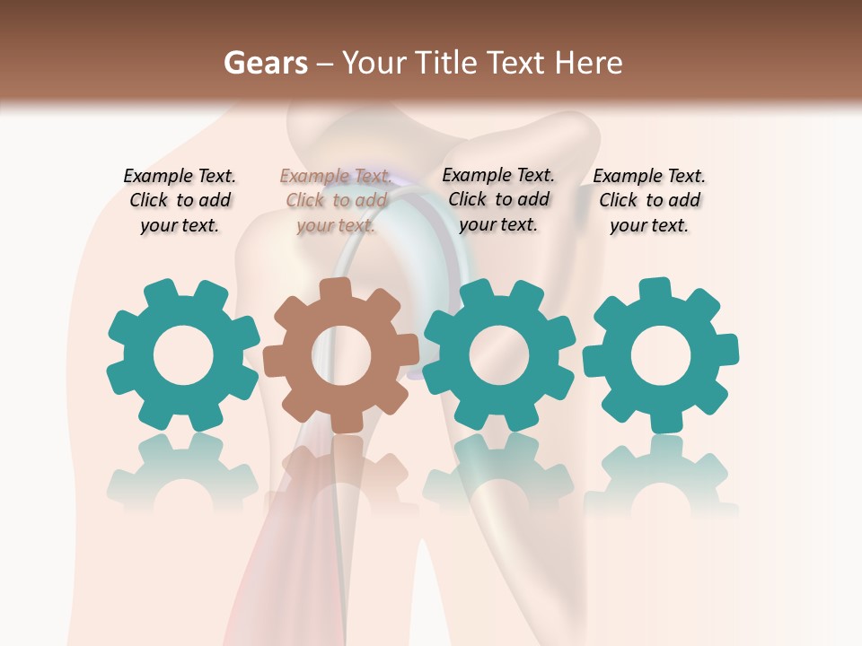 Fitness Tendon Illustration PowerPoint Template