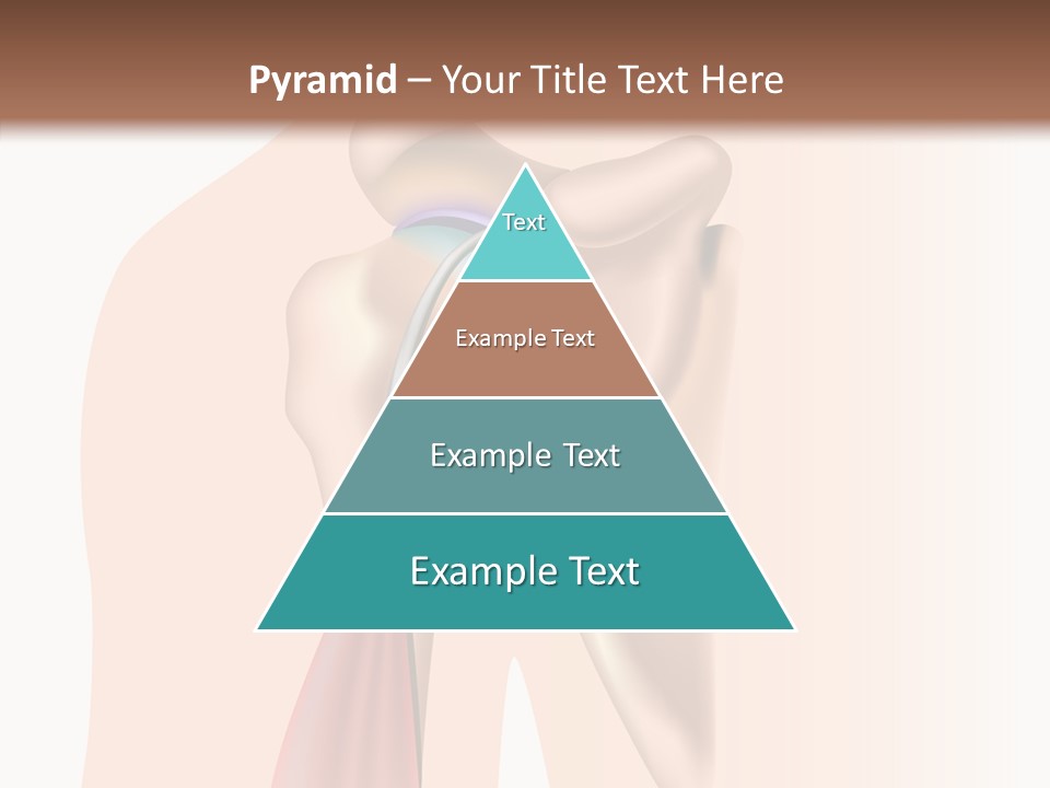 Fitness Tendon Illustration PowerPoint Template