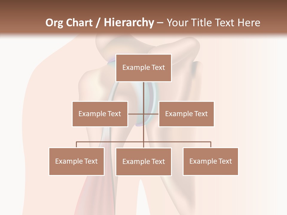 Fitness Tendon Illustration PowerPoint Template