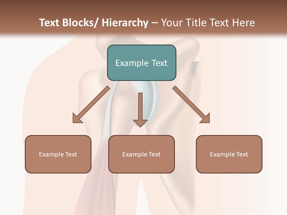 Fitness Tendon Illustration PowerPoint Template