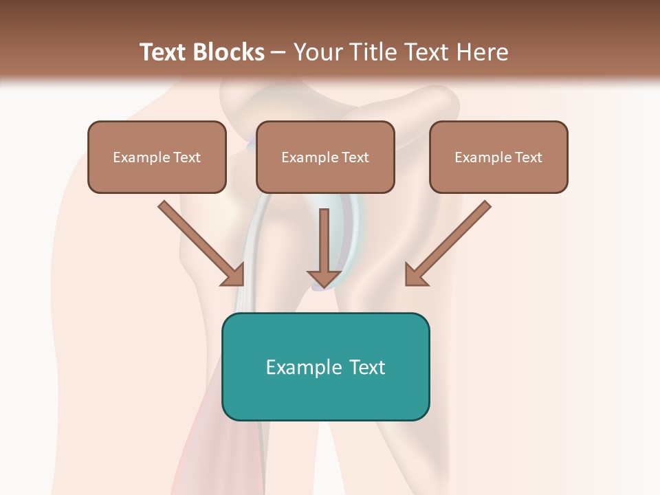 Fitness Tendon Illustration PowerPoint Template