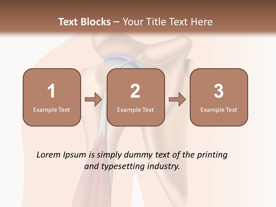 Fitness Tendon Illustration PowerPoint Template