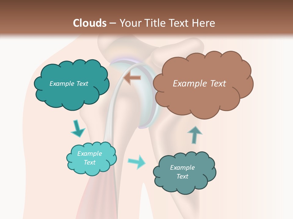 Fitness Tendon Illustration PowerPoint Template