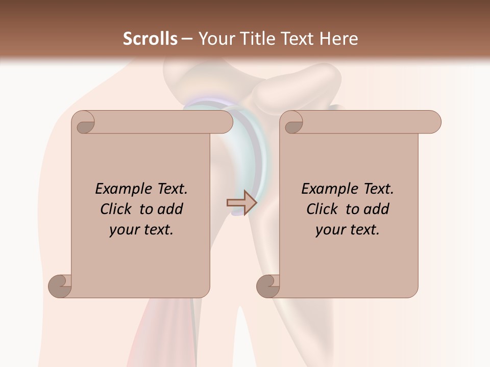 Fitness Tendon Illustration PowerPoint Template