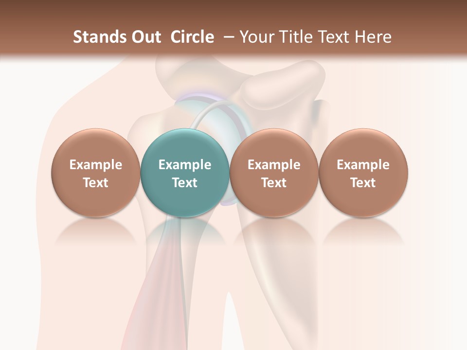 Fitness Tendon Illustration PowerPoint Template