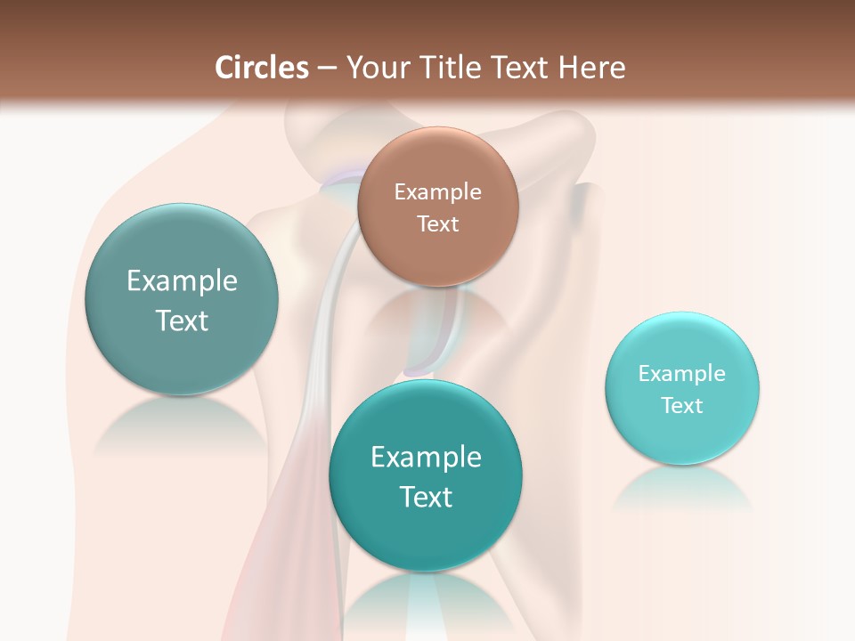 Fitness Tendon Illustration PowerPoint Template