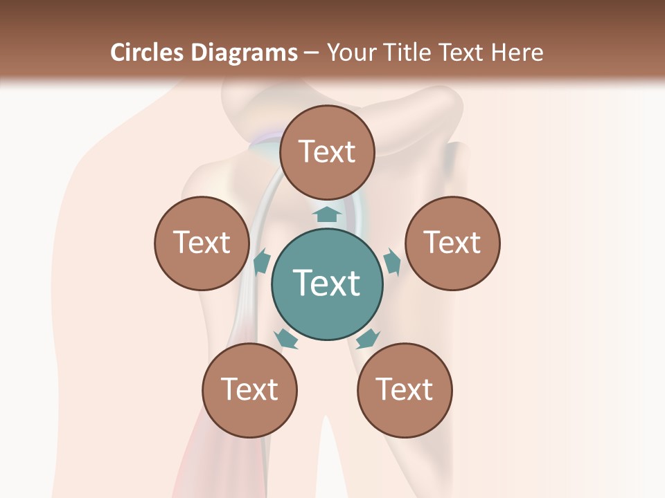 Fitness Tendon Illustration PowerPoint Template