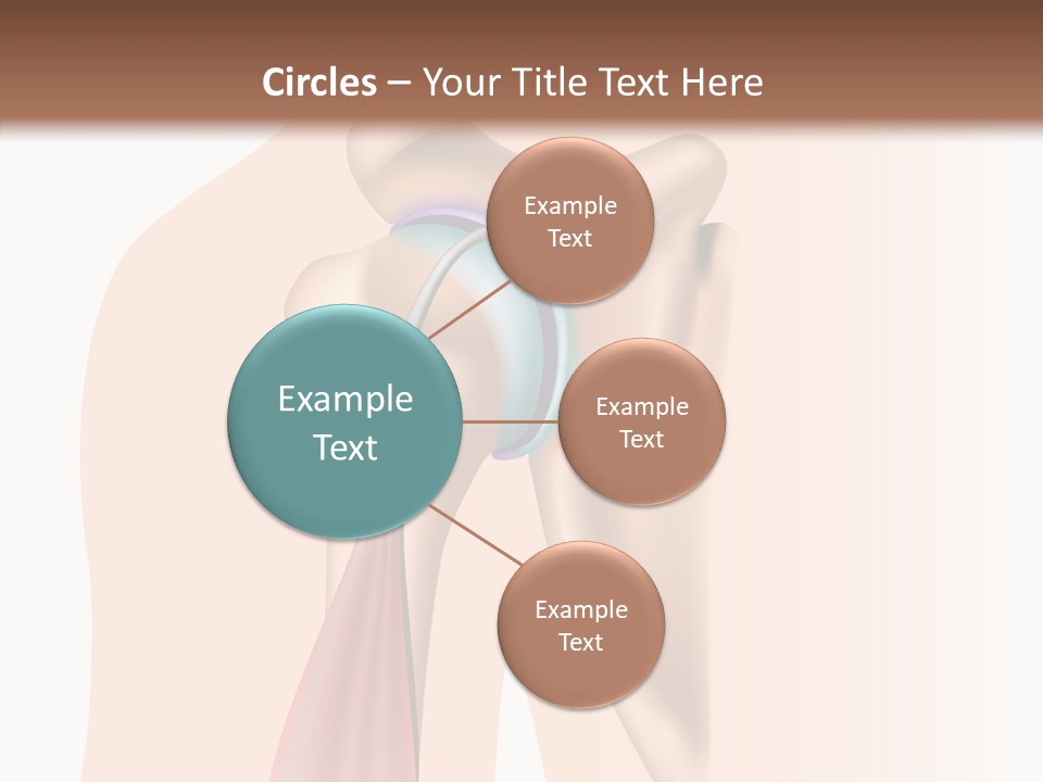 Fitness Tendon Illustration PowerPoint Template