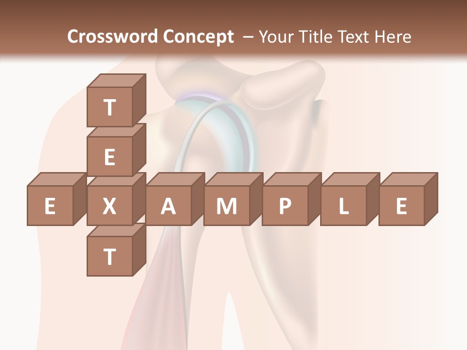 Fitness Tendon Illustration PowerPoint Template