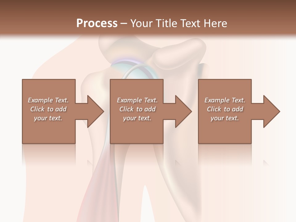 Fitness Tendon Illustration PowerPoint Template