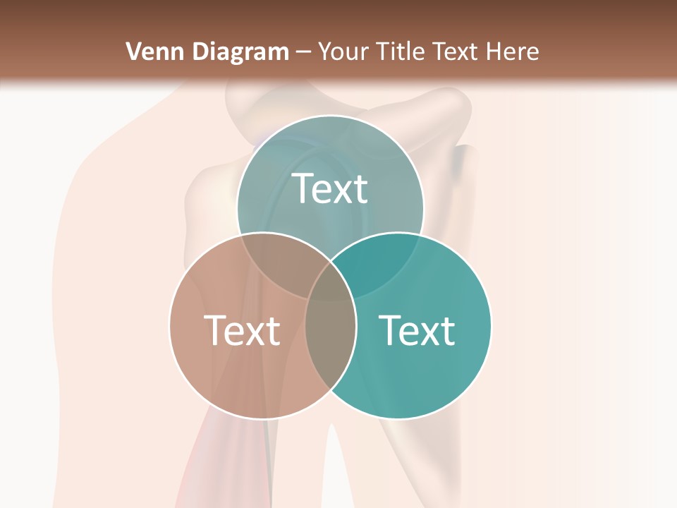 Fitness Tendon Illustration PowerPoint Template