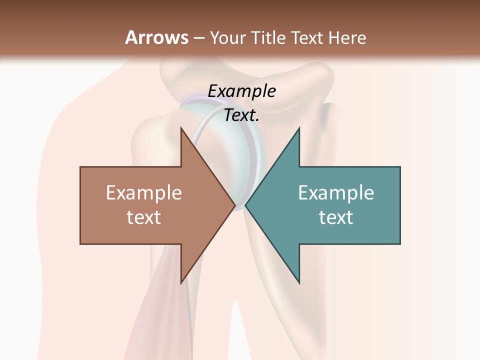 Fitness Tendon Illustration PowerPoint Template