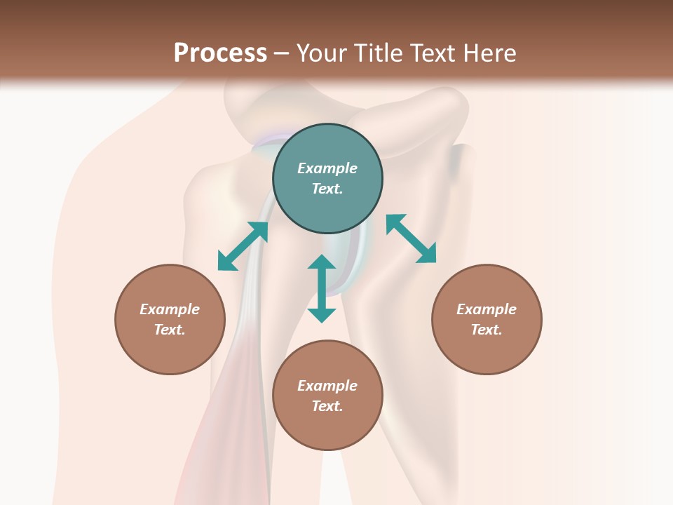 Fitness Tendon Illustration PowerPoint Template