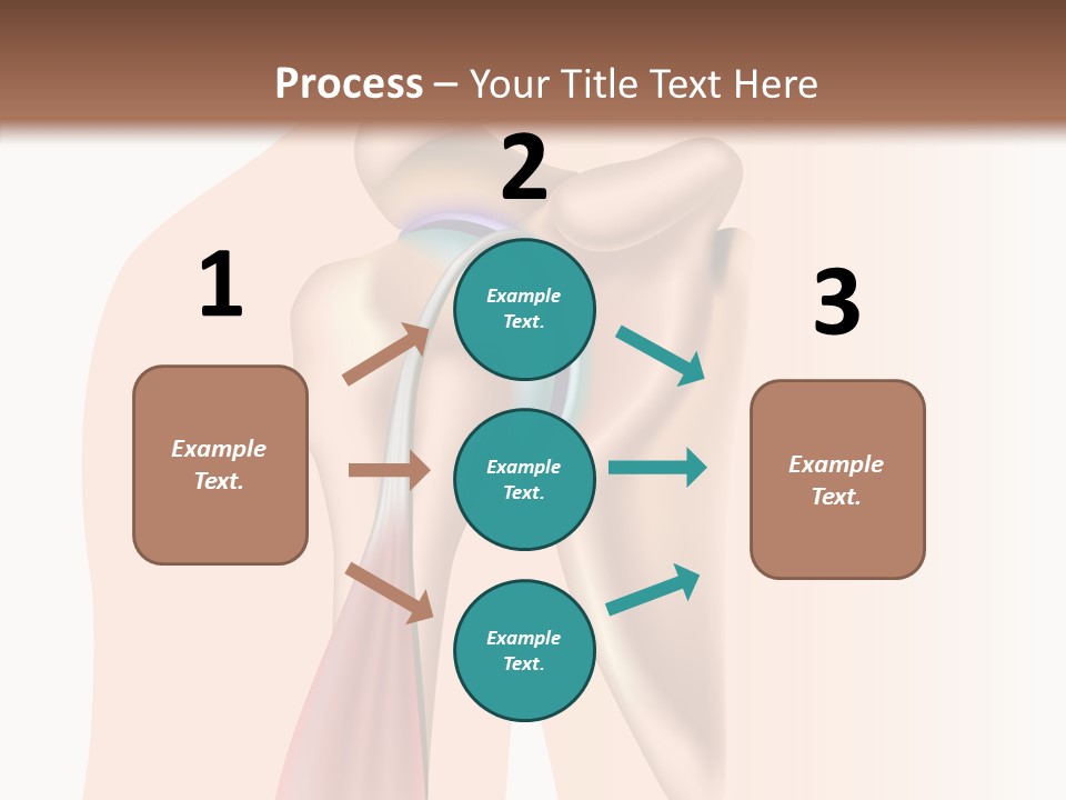 Fitness Tendon Illustration PowerPoint Template