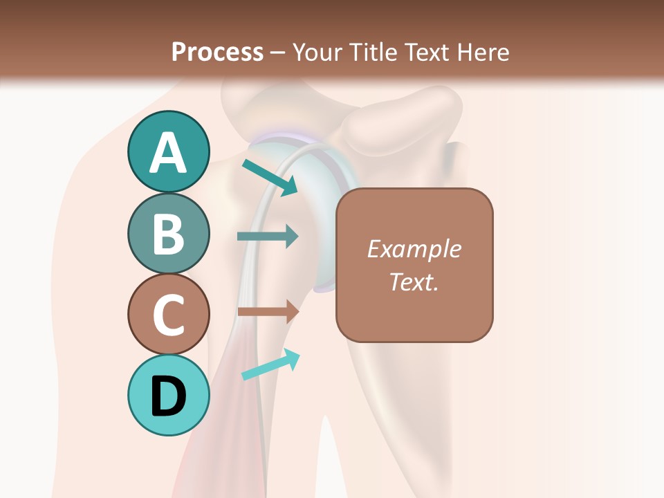 Fitness Tendon Illustration PowerPoint Template
