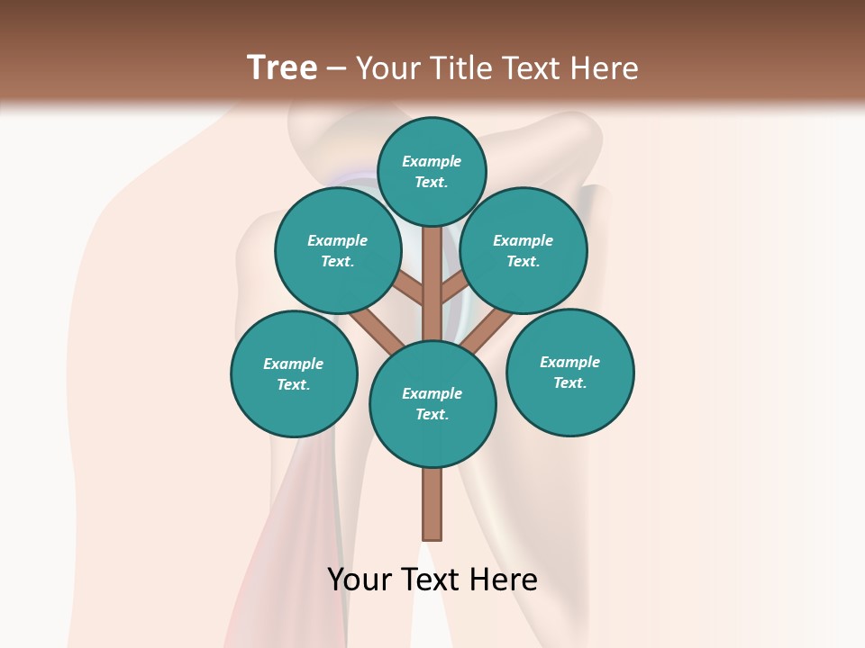 Fitness Tendon Illustration PowerPoint Template