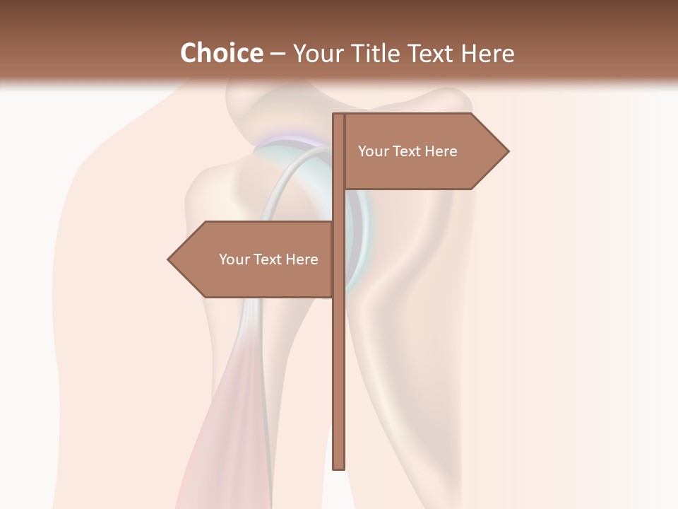 Fitness Tendon Illustration PowerPoint Template