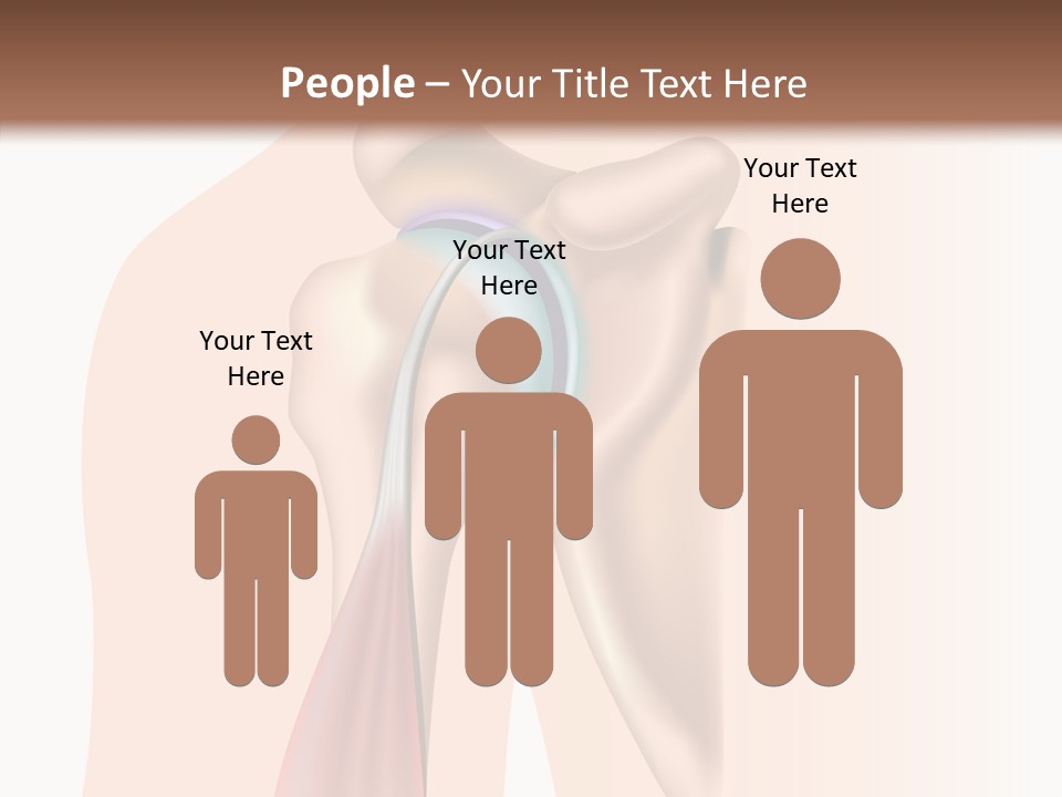 Fitness Tendon Illustration PowerPoint Template