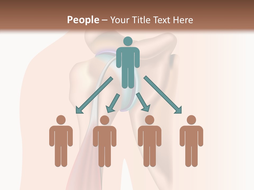 Fitness Tendon Illustration PowerPoint Template