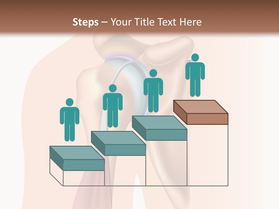 Fitness Tendon Illustration PowerPoint Template