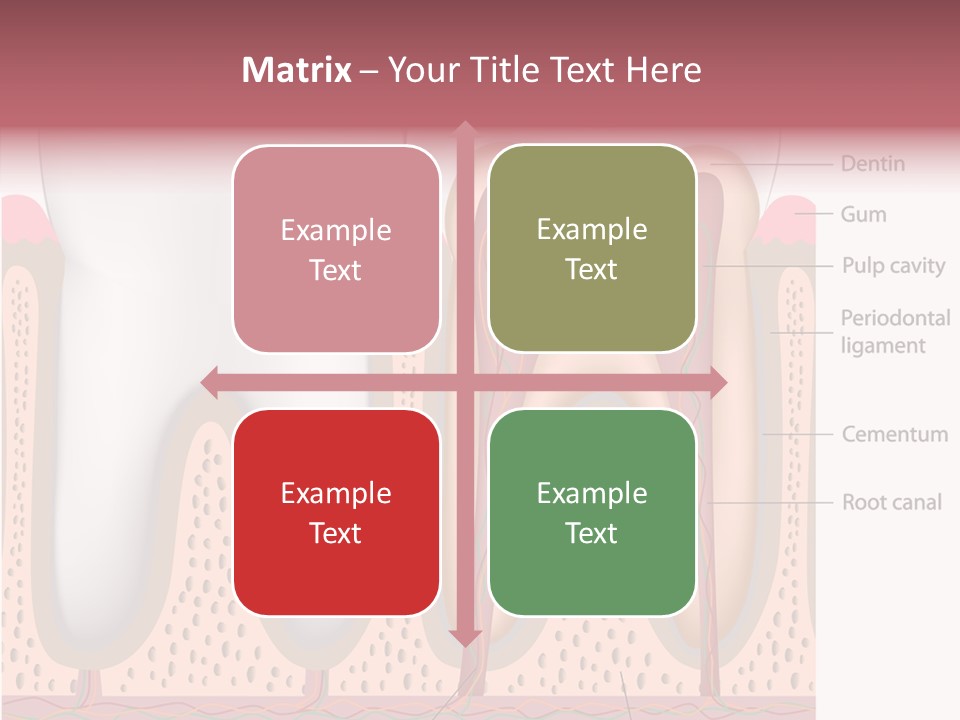 Tooth Crevice Medicine PowerPoint Template