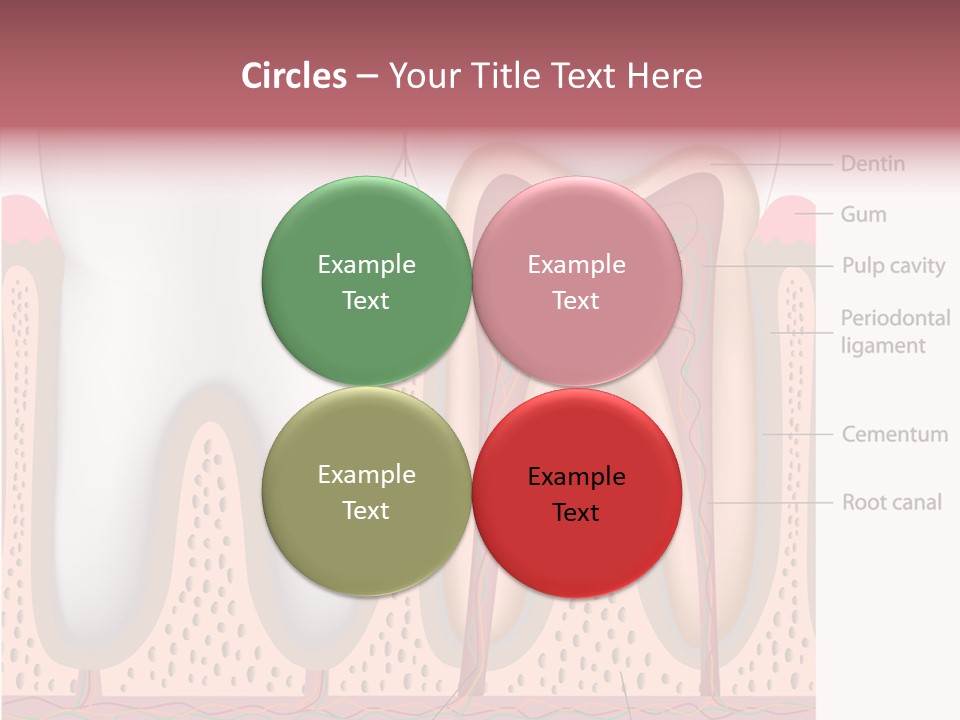 Tooth Crevice Medicine PowerPoint Template