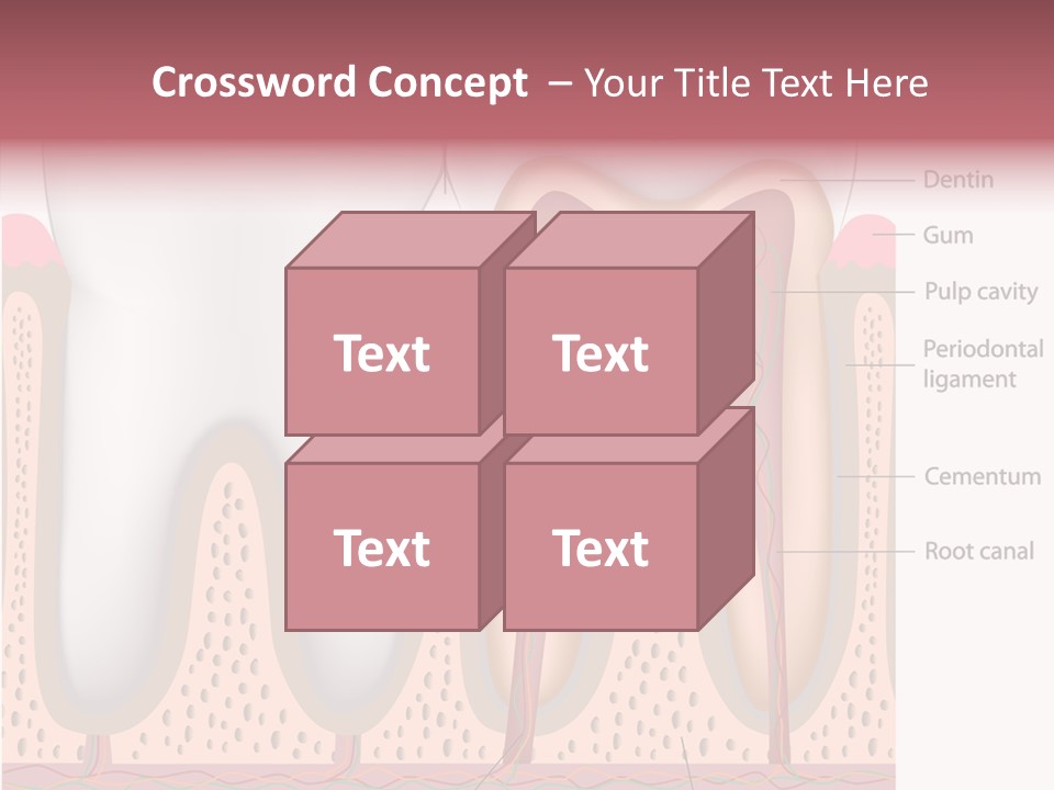 Tooth Crevice Medicine PowerPoint Template