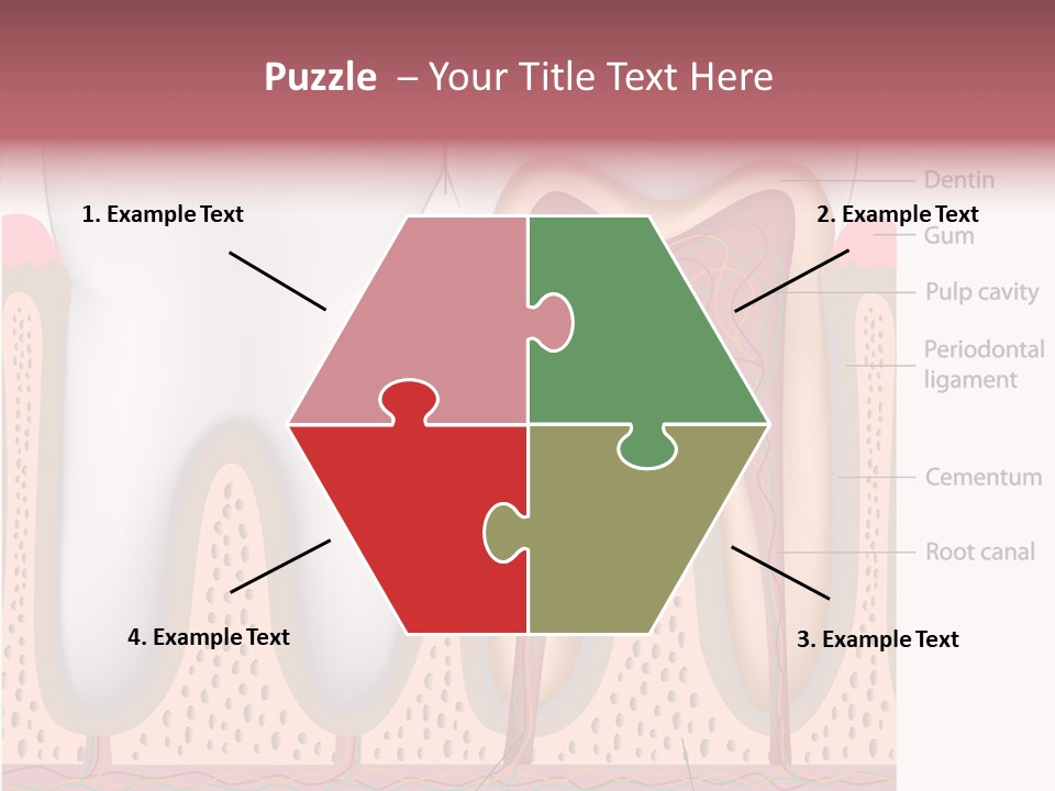 Tooth Crevice Medicine PowerPoint Template