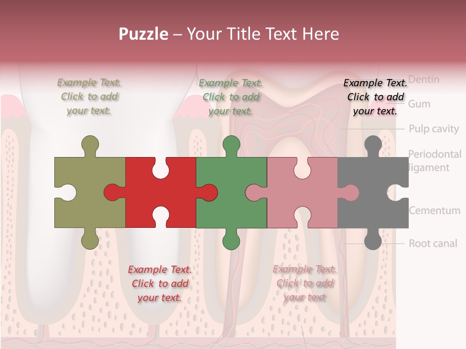 Tooth Crevice Medicine PowerPoint Template