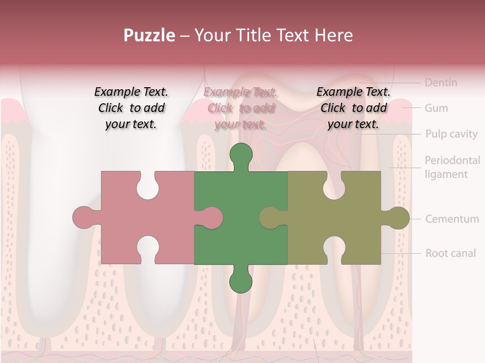 Tooth Crevice Medicine PowerPoint Template