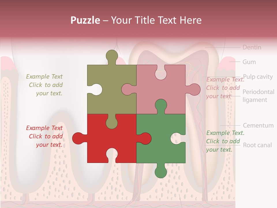 Tooth Crevice Medicine PowerPoint Template