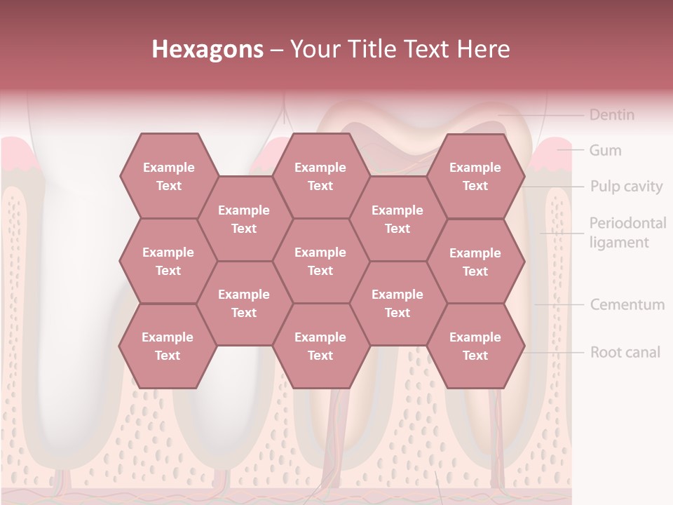 Tooth Crevice Medicine PowerPoint Template