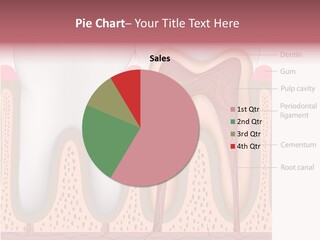 Tooth Crevice Medicine PowerPoint Template