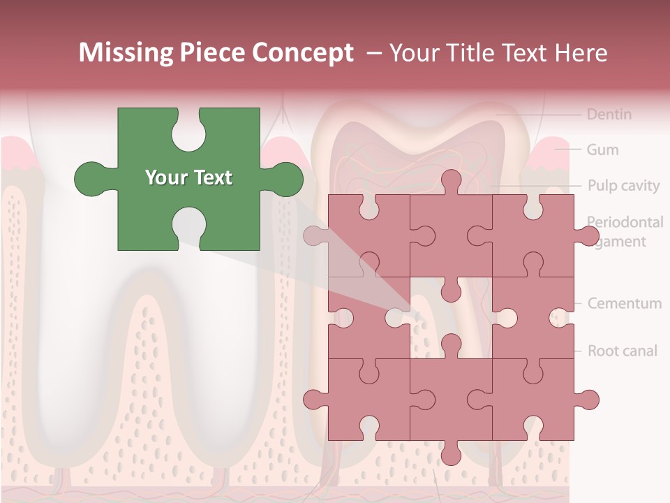 Tooth Crevice Medicine PowerPoint Template
