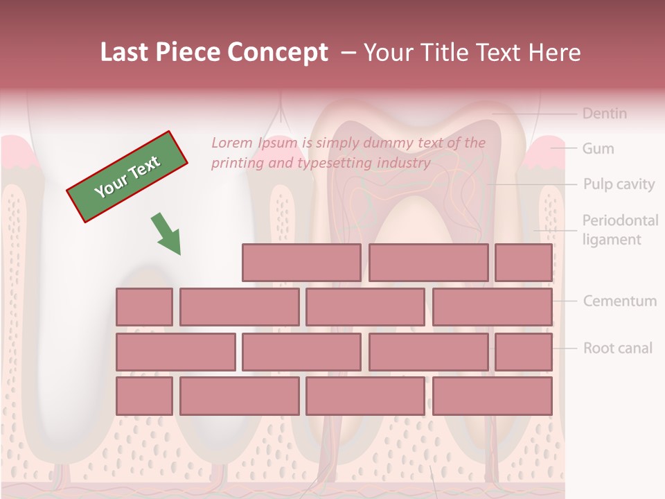 Tooth Crevice Medicine PowerPoint Template