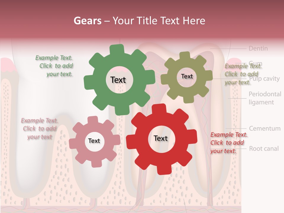Tooth Crevice Medicine PowerPoint Template