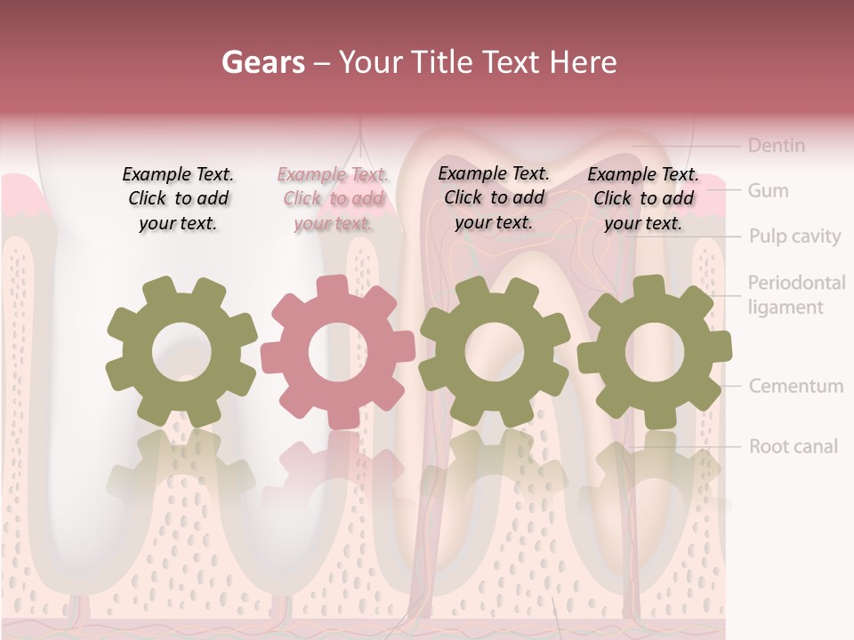 Tooth Crevice Medicine PowerPoint Template