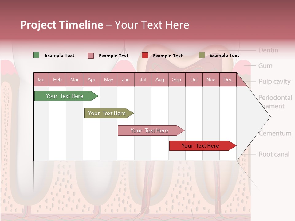 Tooth Crevice Medicine PowerPoint Template