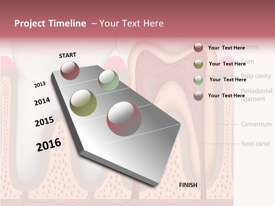 Tooth Crevice Medicine PowerPoint Template