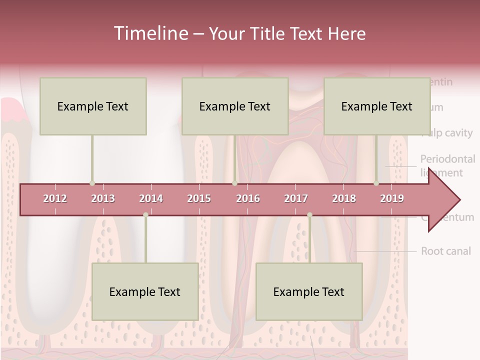 Tooth Crevice Medicine PowerPoint Template