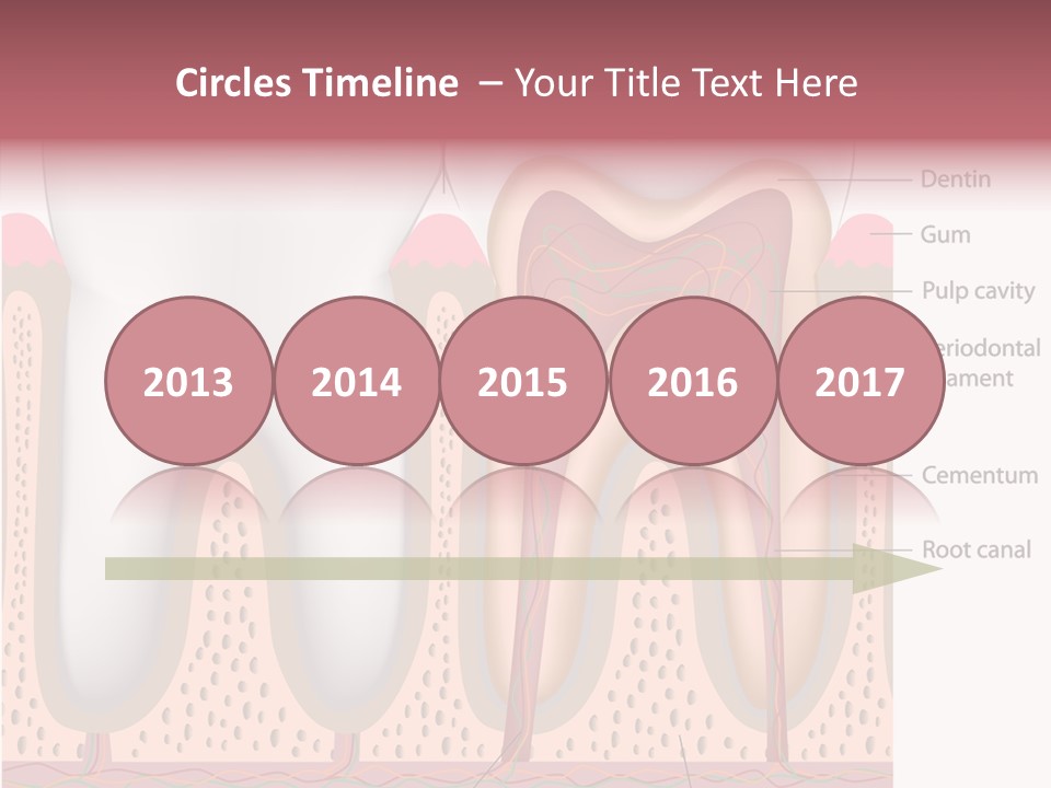 Tooth Crevice Medicine PowerPoint Template