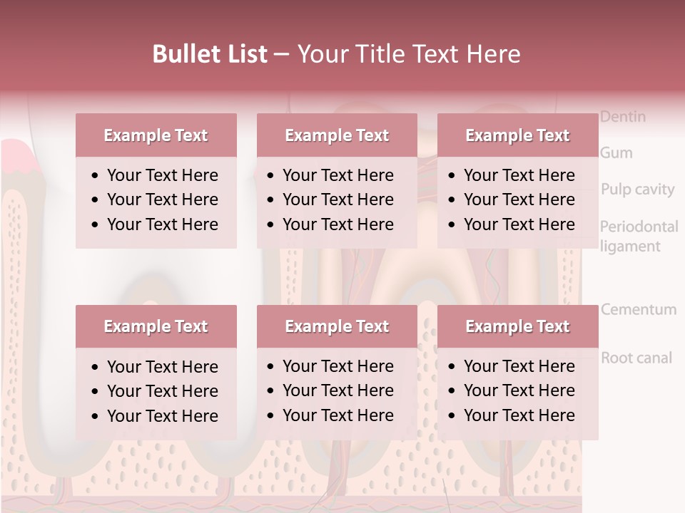 Tooth Crevice Medicine PowerPoint Template
