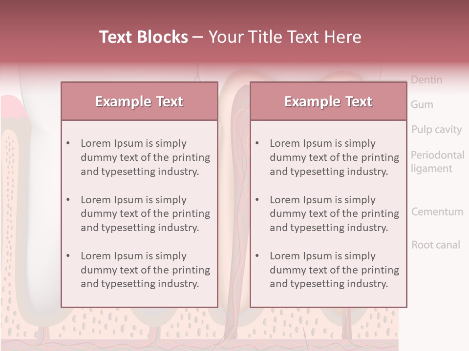 Tooth Crevice Medicine PowerPoint Template