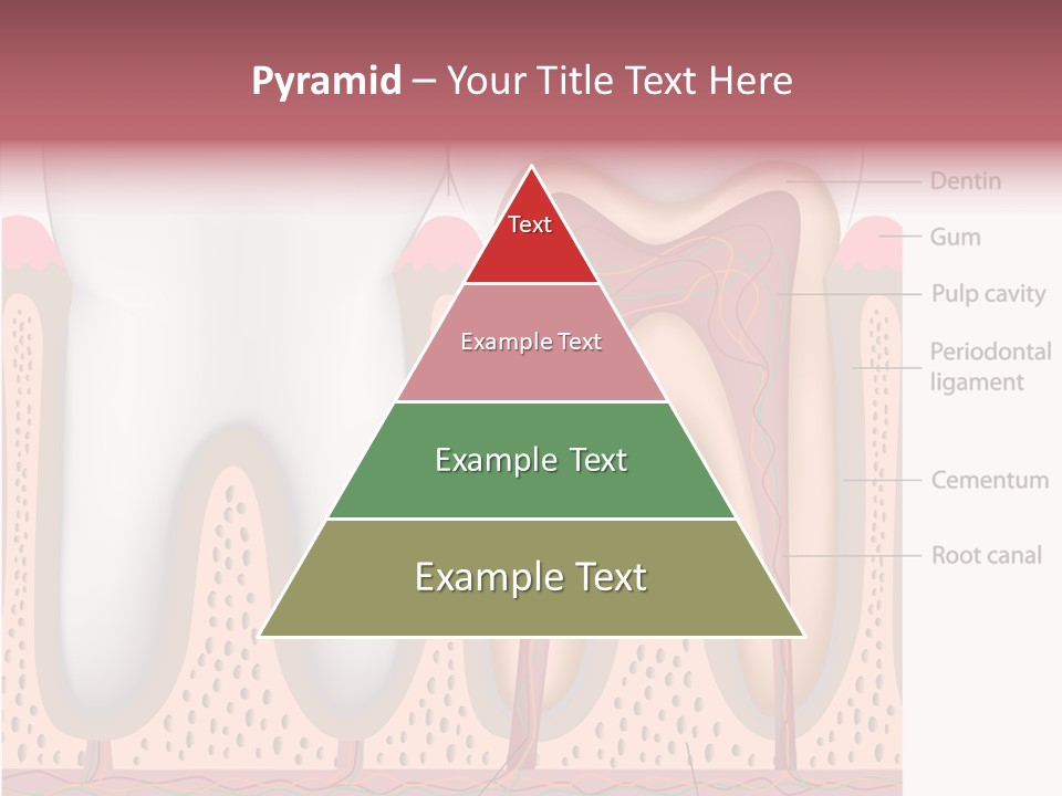 Tooth Crevice Medicine PowerPoint Template