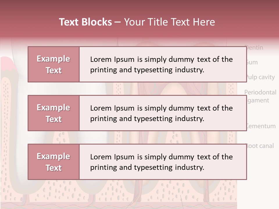 Tooth Crevice Medicine PowerPoint Template