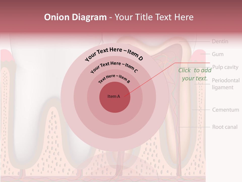 Tooth Crevice Medicine PowerPoint Template